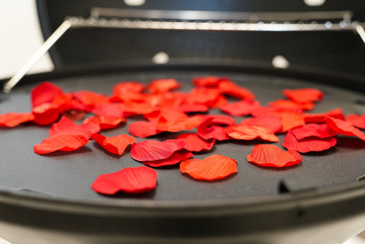 grilled dinner for valentines day