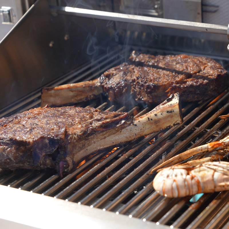 Fuego Premium Charcoal Tray